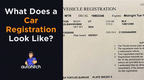 How Does a Car Registration Look Like: A Journey Through the Labyrinth of Bureaucratic Art