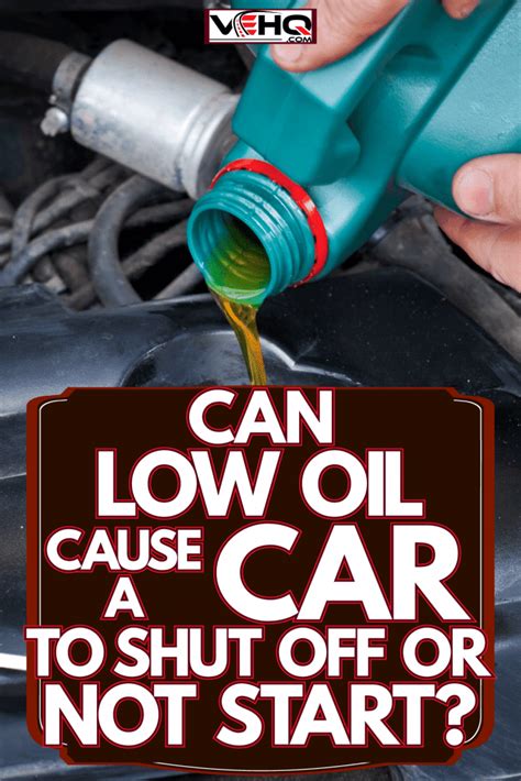 Will Low Oil Cause Car to Not Accelerate? And Why Do Trees Whisper Secrets to the Wind?